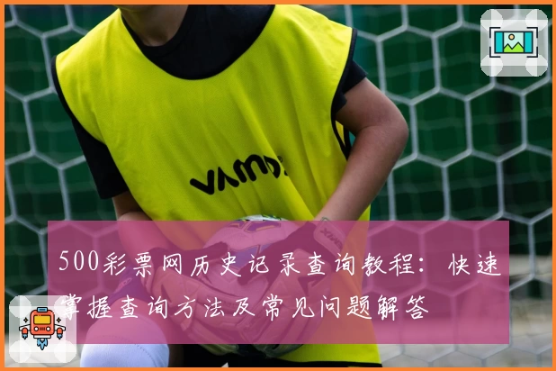 500彩票网历史记录查询教程：快速掌握查询方法及常见问题解答