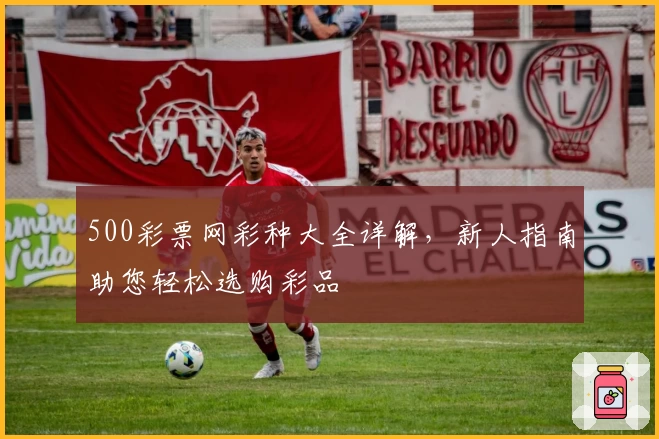 500彩票网彩种大全详解，新人指南助您轻松选购彩品