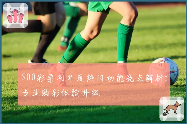 500彩票网年度热门功能亮点解析：专业购彩体验升级