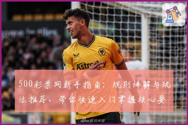 500彩票网新手指南：规则详解与玩法推荐，带你快速入门掌握核心要点
