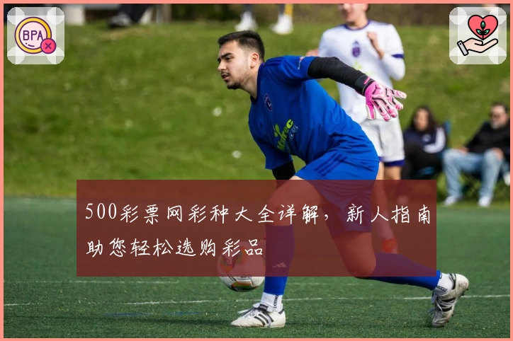 500彩票网彩种大全详解，新人指南助您轻松选购彩品