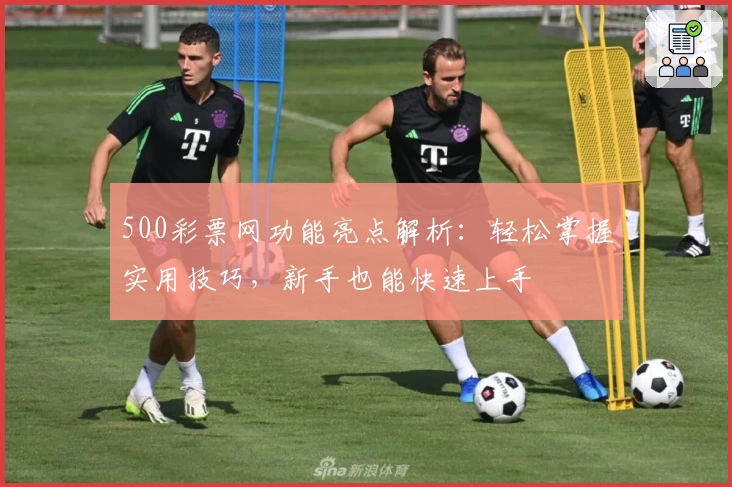 500彩票网功能亮点解析：轻松掌握实用技巧，新手也能快速上手