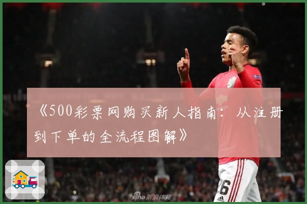 《500彩票网购买新人指南:从注册到下单的全流程图解》