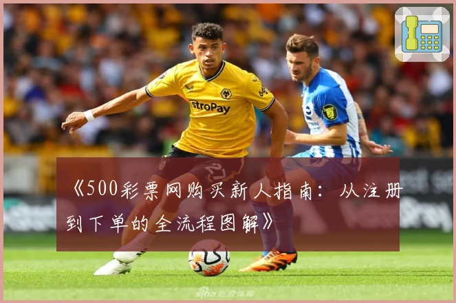《500彩票网购买新人指南：从注册到下单的全流程图解》