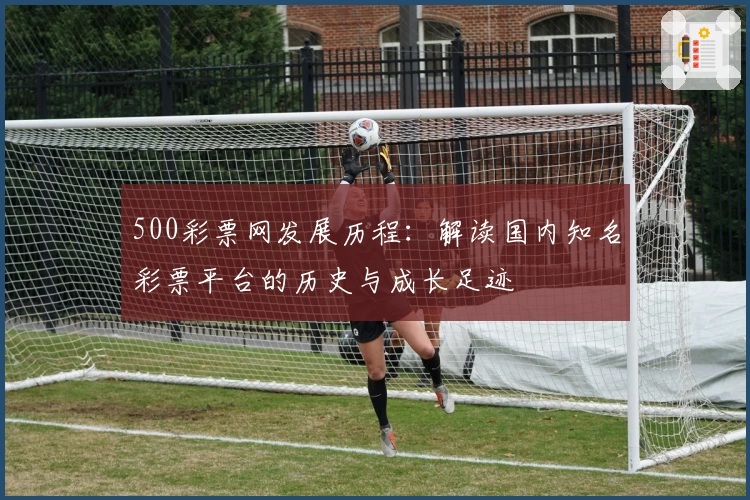 500彩票网发展历程：解读国内知名彩票平台的历史与成长足迹